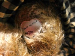 theodora bear foot
